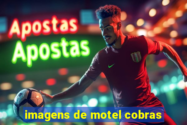 imagens de motel cobras